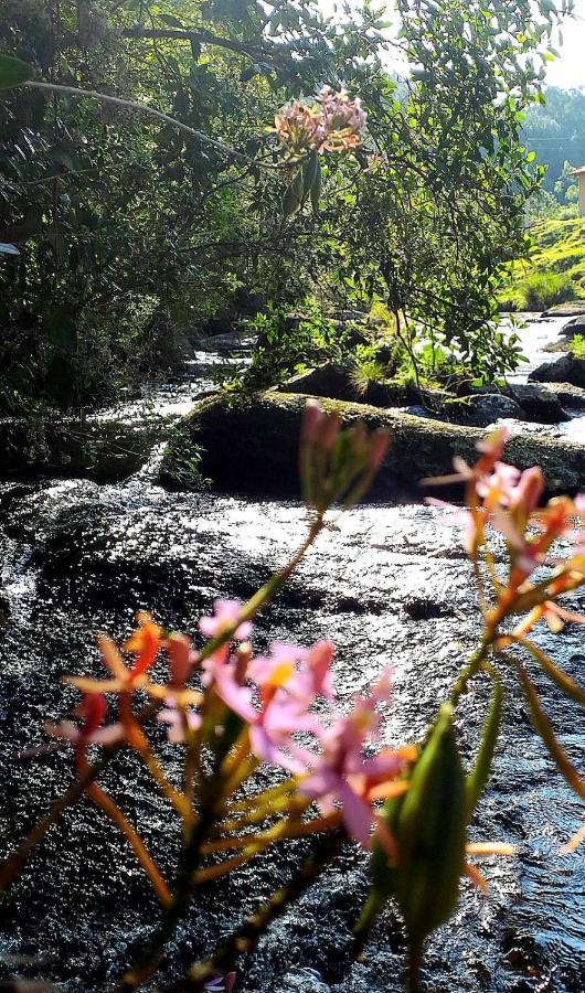 Morada Vale Das Aguas 圣博尼法西乌 外观 照片