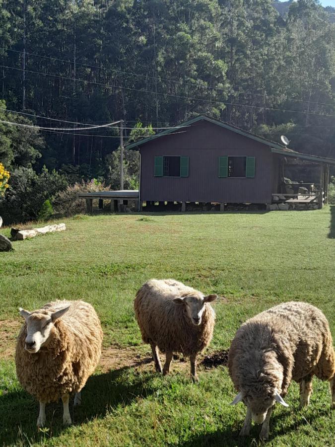 Morada Vale Das Aguas 圣博尼法西乌 外观 照片